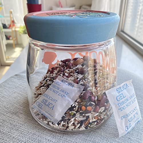 2g Silica Gel Desiccant Packets (100 Count)