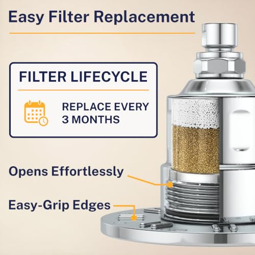 Gillian Filtered Shower Head for Hard Water