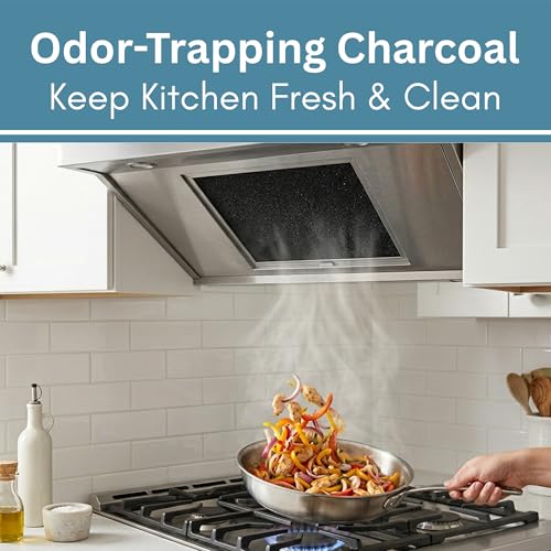 Activated Charcoal Filter For Range Hood (2 Count)