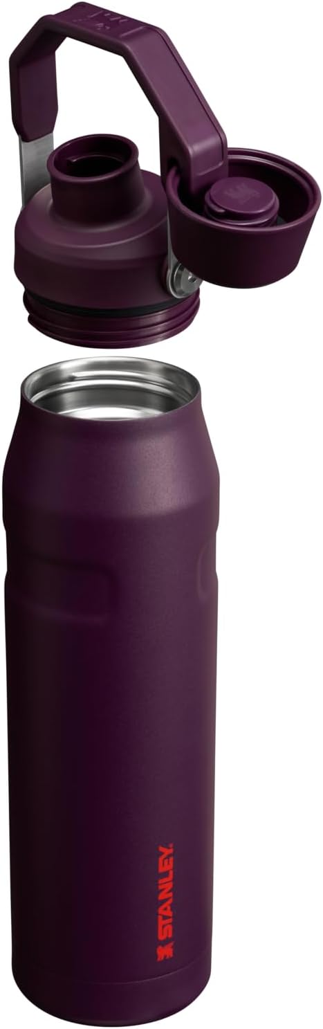 Stanley IceFlow Fast Flow Water Bottle | Angled Spout Lid | Lightweight & Leakproof for Travel & Sports | Insulated Stainless Steel | BPA-Free