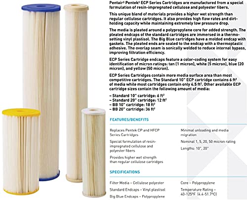 Pentair Pentek ECP1