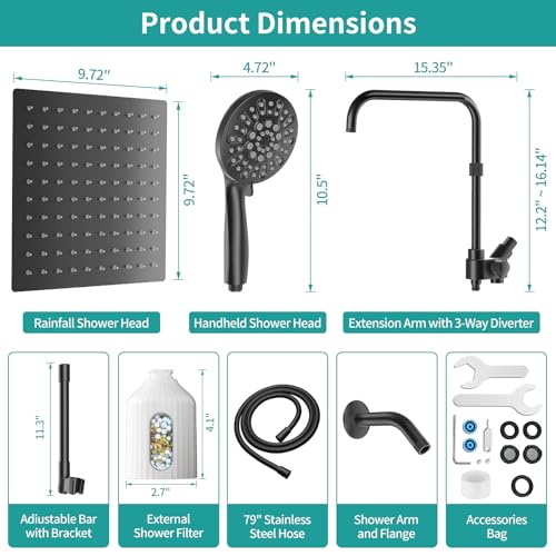 Black Filtered Rainfall Shower Head with Handheld