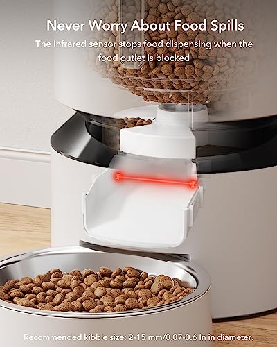 Automatic Cat Feeder