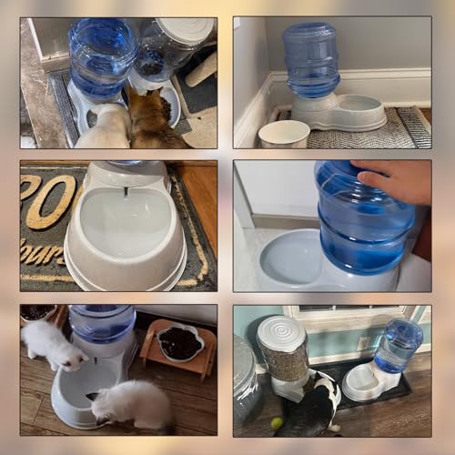 3 Gallon Automatic Dog Water Dispenser