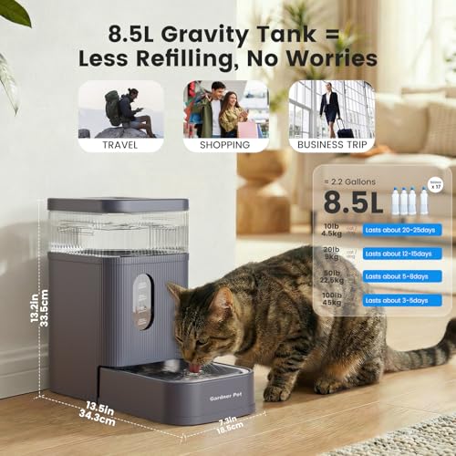2.2 Gallon Automatic Dog Water Bowl Dispenser 8.5L Gravity Water Feeder with Stainless Steel Bowl & Maifan Stone Filter