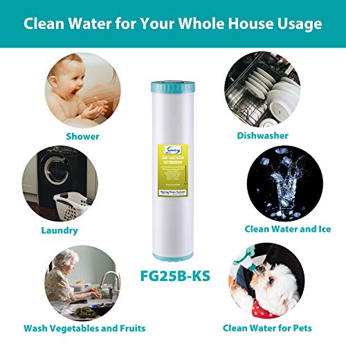 FG25B KS Heavy Metals Reduction Whole House Water Filter