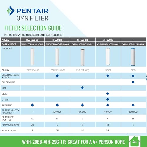Pentair OMNIFilter Whole Home Valve