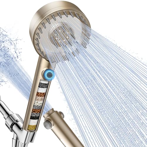 Filtered Shower Head with Handheld