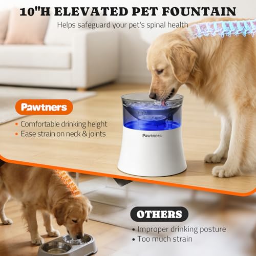 1 Gal 3.5L Dog Water Fountain