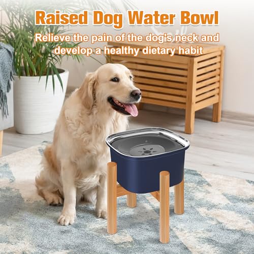 3L Elevated Dog Water Bowl