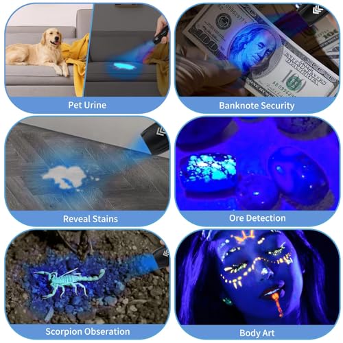 40 Pack 365nm UV Flashlight Mini Rechargeable UV Light 3W for Pet Stain Detection Hotel Cleaning Resin Curing Gem & Scorpion Inspection Stocking Stuffers (40 Count)