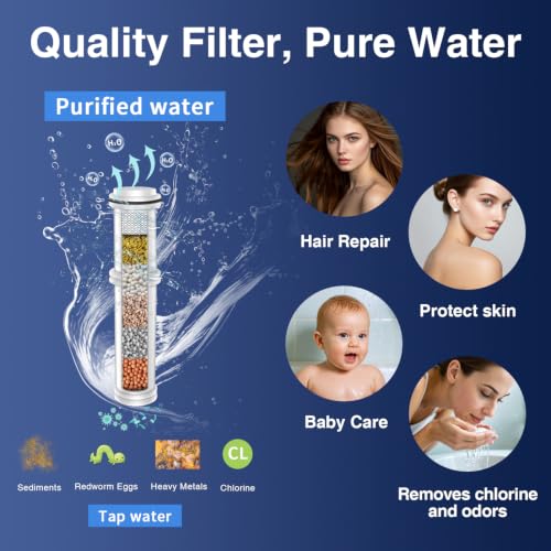 Filtered Shower Head with Handheld High Pressure 10