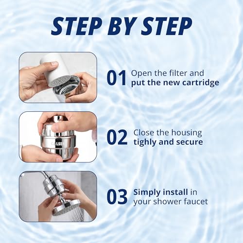 Shower head Filter