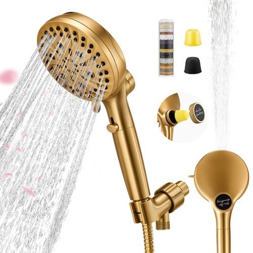 Filtered Shower Head with Handheld