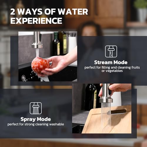 Kitchen Faucet with Soap Dispenser