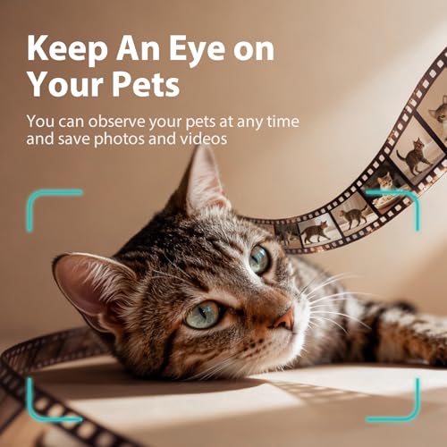 Automatic Cat Feeder with Camera and Water Fountain