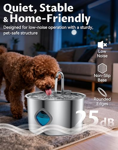 Dog Water Bowl
