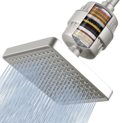 Filtered Shower Head