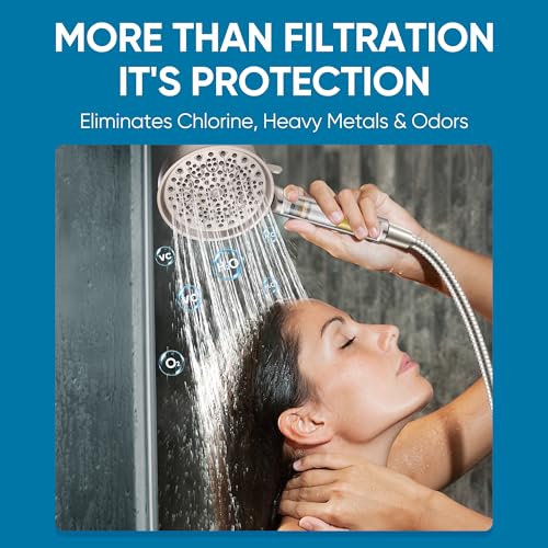 Filtered Shower Head with Handheld