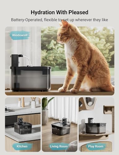 Cat Water Fountain Cordless
