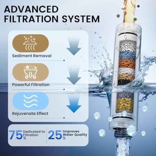Filtered Shower Head with Handheld