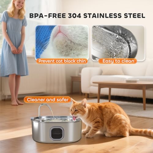 Cat Water Fountain
