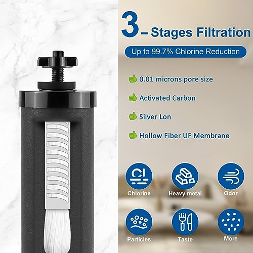 Black Activated Carbon Water Filters & Fluoride Filters fit for Berkey (4 Count)