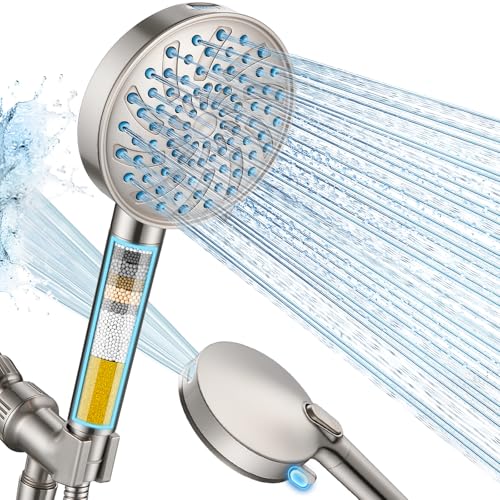Filtered Shower Head with Handheld