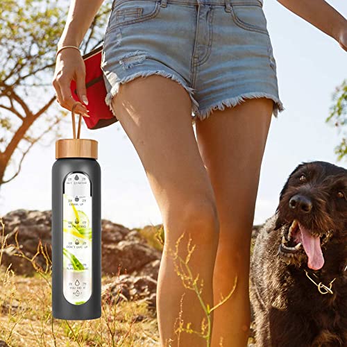 Glass Water Bottles 32 Oz with Silicone Sleeve