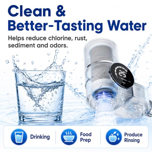 Faucet Mount Replacement Filter Cartridge (2 Count)
