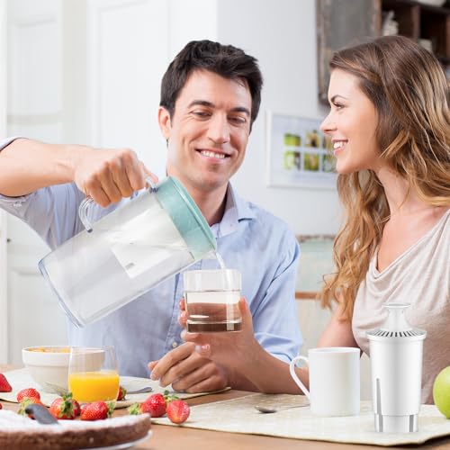Water Filter Replacement Compatible with Brita Pitchers and Dispensers