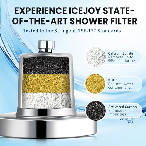 Shower Head with Filters