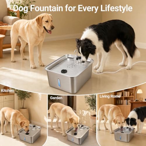 Cat Large Dog Water Fountain