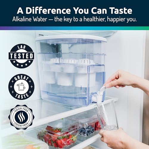 Alkaline Water Filter Dispenser