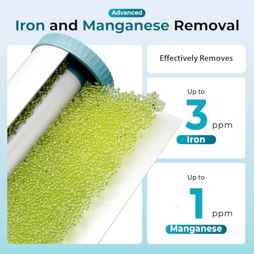 WGB31BM Iron Manganese Whole House Water Filter System