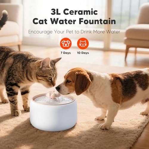 Wireless Cat Water Fountain