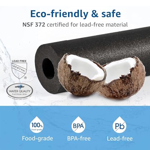 F 201R Water Filter Replacement for InSinkErator® F (2 Count)