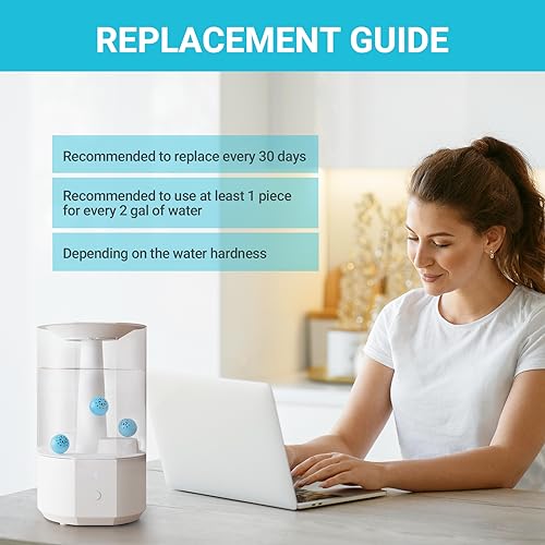 Humidifier Cleaning Ball (3 Count)