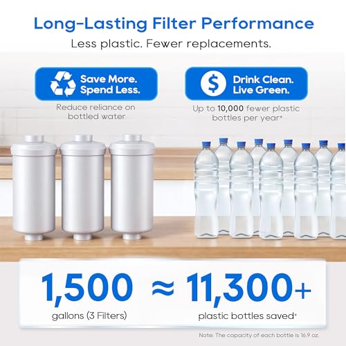 Fluoride Water Filter (3 Count)