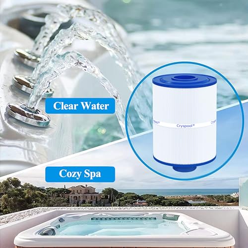 PAS28 Spa Filter Replaces PAS28 (2 Count)