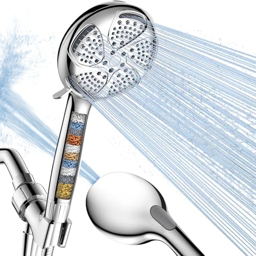 Filtered Shower Head with Handheld