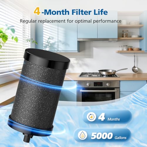 2 Pack 2387 Pro Filter Replacement for Alexapure 2387 Pro Water Filter (2 Count)