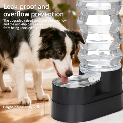 9L Elevated Dog Water Dispenser