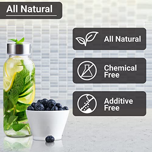 Aqua Ionizer Deluxe 9.5 Anti