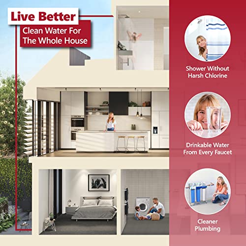 Whole House Water Filter Set (2 Count)