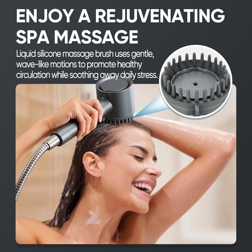 Filtered Shower Head with Handheld