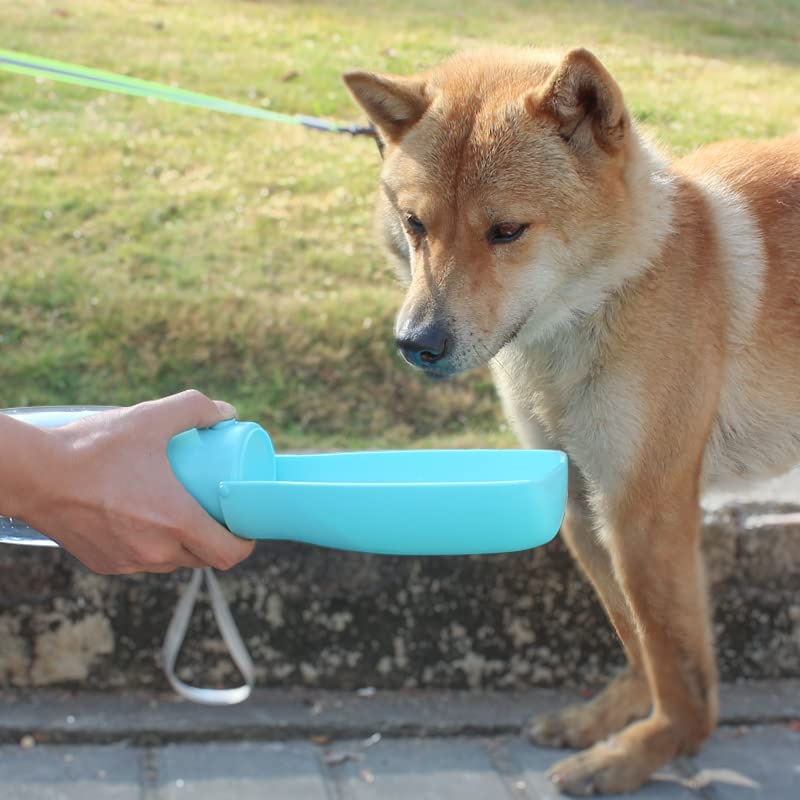 Foldable Dog Water Bottle