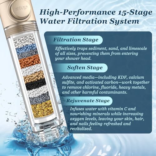 Filtered Shower Head with Handheld