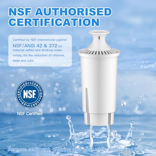 Water Filter Replacement Compatible with Brita Filter & Pitchers