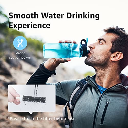 Water Bottle Filter (5 Count)